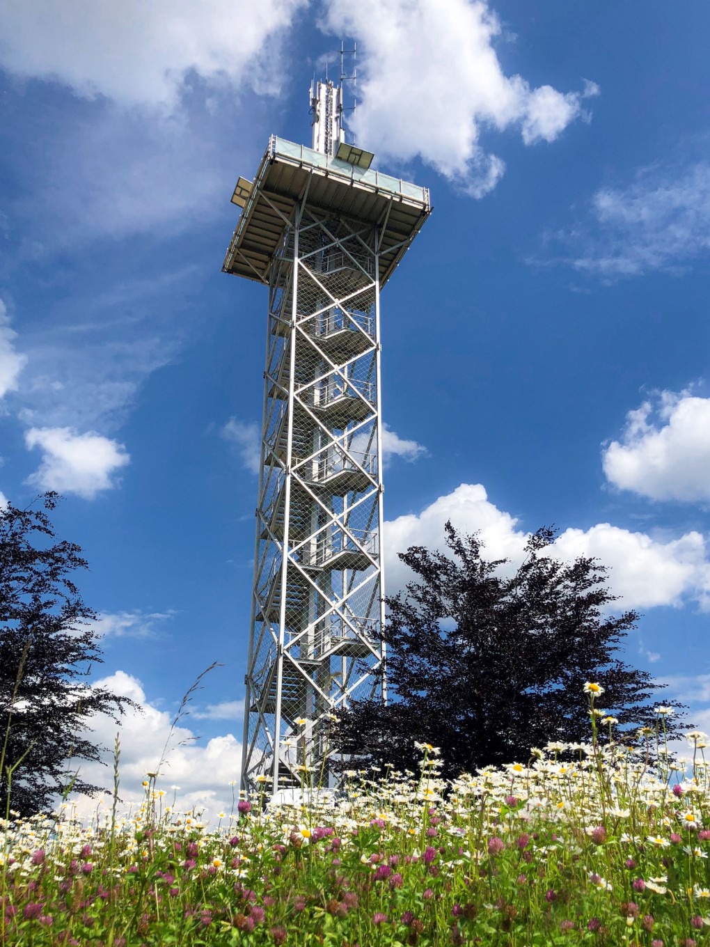 Stalen uitkijktoren met trappen, omgeven door wilde bloemen en bomen onder een blauwe lucht met wolken.