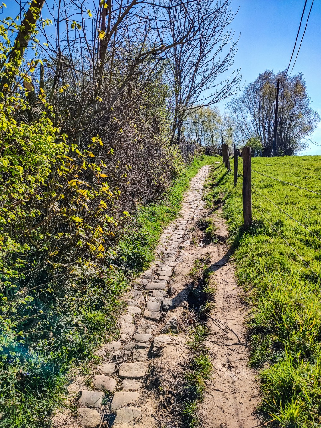 Smalle, licht hellende wandelpad met stenen en aarde, omgeven door groene grasvelden en bomen onder een blauwe lucht.